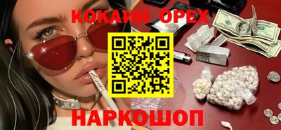 индика Можга