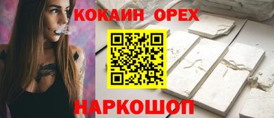 индика Можга