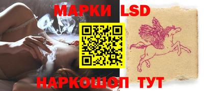 индика Можга