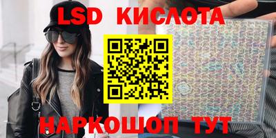 индика Можга