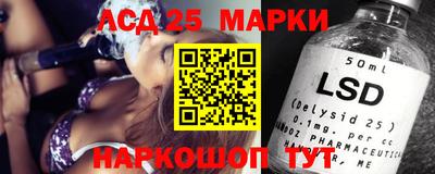 индика Можга
