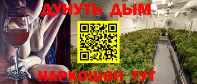 индика Можга