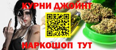 индика Можга