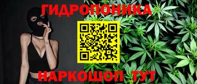кокс Моздок