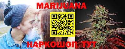 индика Можга