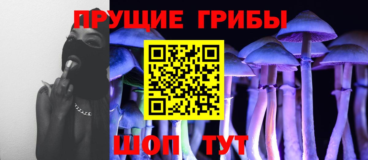 Галлюциногенные грибы ЛСД  Вход с VPN  Грозный  Галлюциногенные грибы Cubensis 
